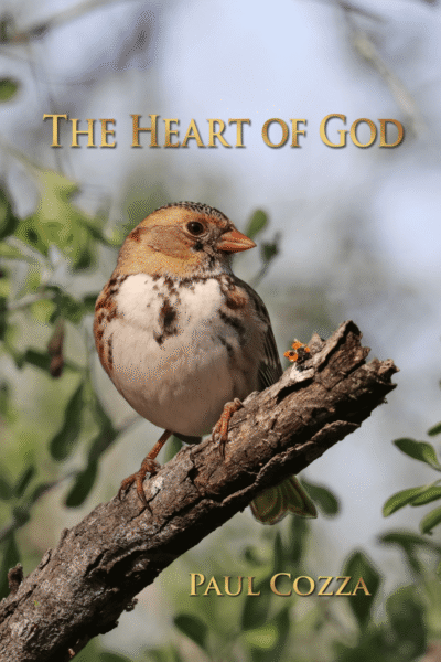 The Heart of God