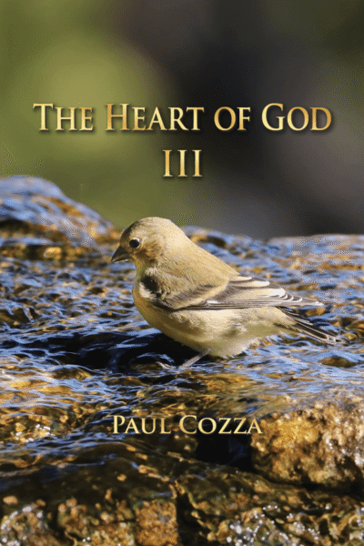 The Heart of God III