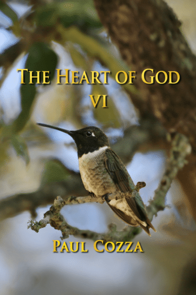The Heart of God VI