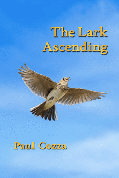 The Lark Ascending
