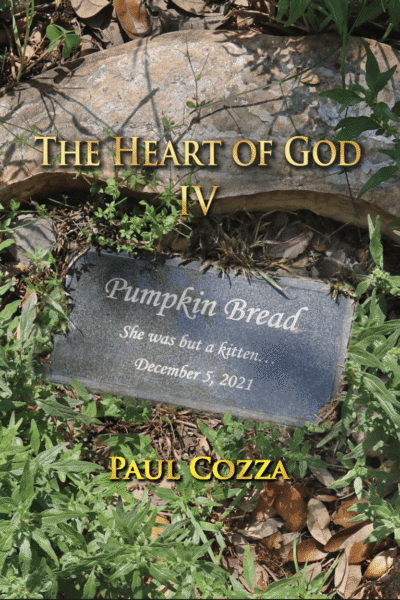 The Heart of God IV